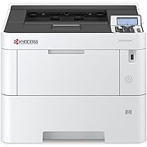 51VsahLqR+L._AC_UL210_SR210,
